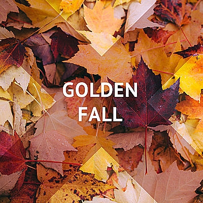 Golden Fall
